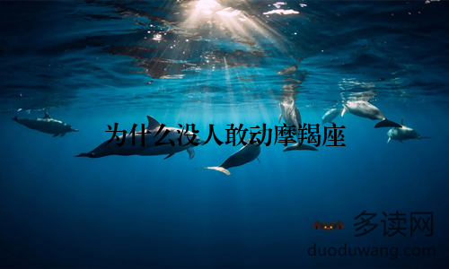 为什么没人敢动摩羯座