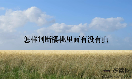 怎样判断樱桃里面有没有虫