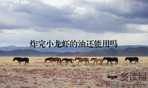 炸完小龙虾的油还能用吗