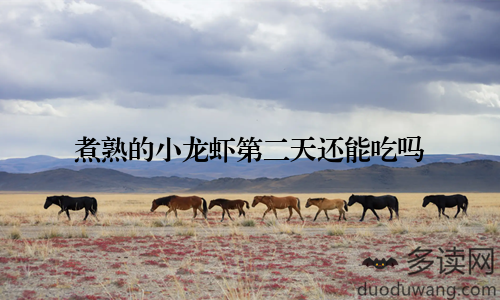 煮熟的小龙虾第二天还能吃吗