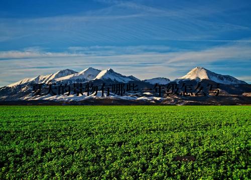 夏天的景物有哪些一年级怎么写