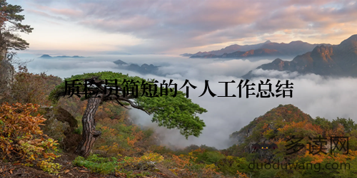 质检员简短的个人工作总结