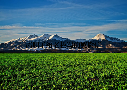 离职了给老板写的感谢信