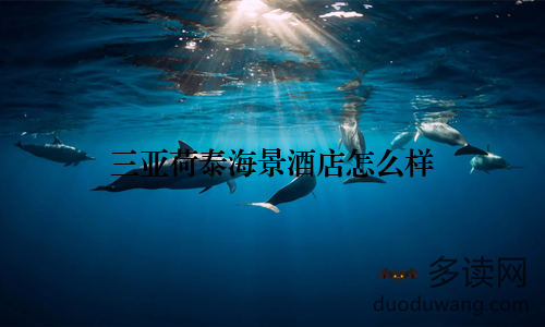 三亚荷泰海景酒店怎么样