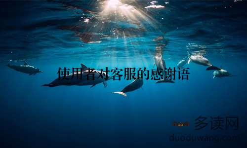 使用者对客服的感谢语