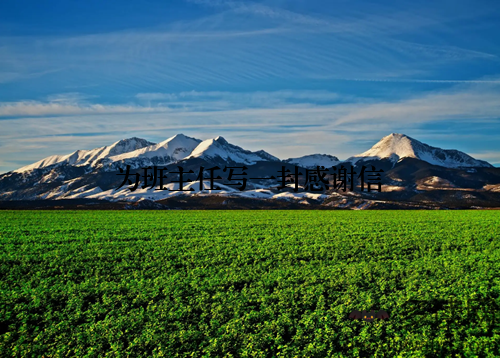 为班主任写一封感谢信