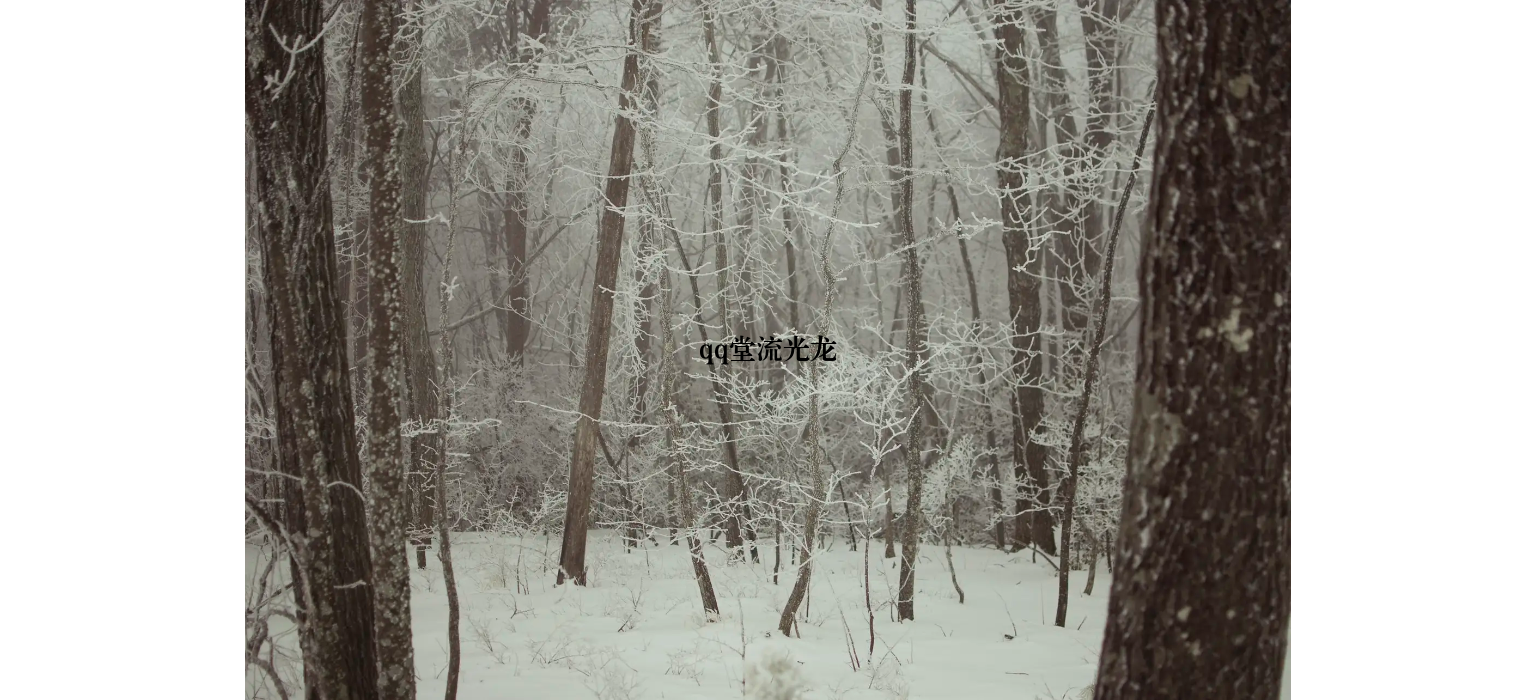 qq堂流光龙