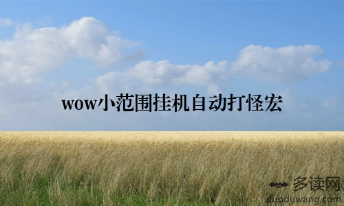 wow小范围挂机自动打怪宏