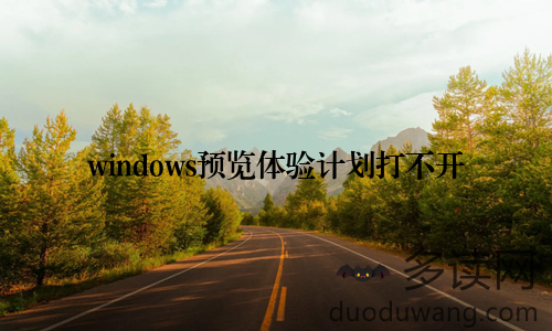 windows预览体验计划打不开