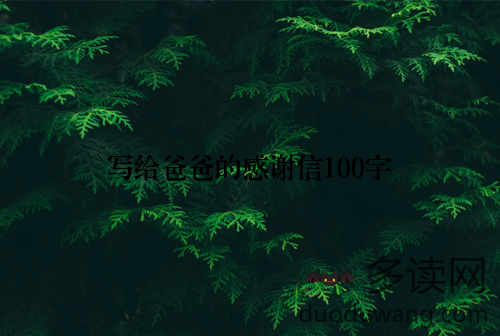 写给爸爸的感谢信100字