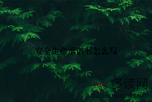 安全生产承诺书怎么写