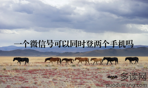 一个微信号可以同时登两个手机吗