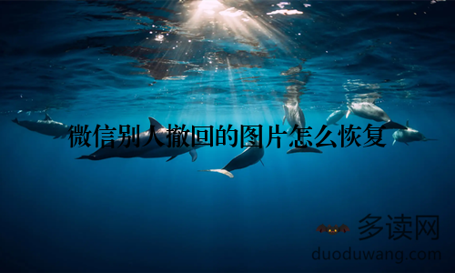 微信别人撤回的图片怎么恢复