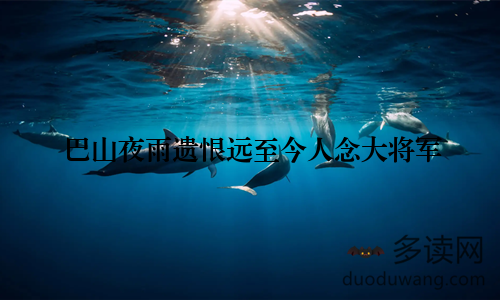 巴山夜雨遗恨远至今人念大将军