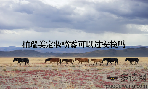 柏瑞美定妆喷雾可以过安检吗