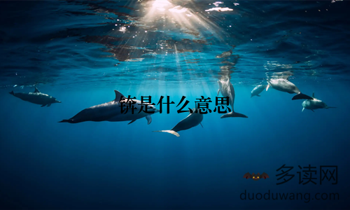 锛是什么意思