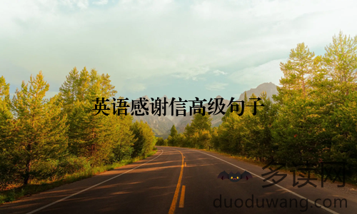 英语感谢信高级句子