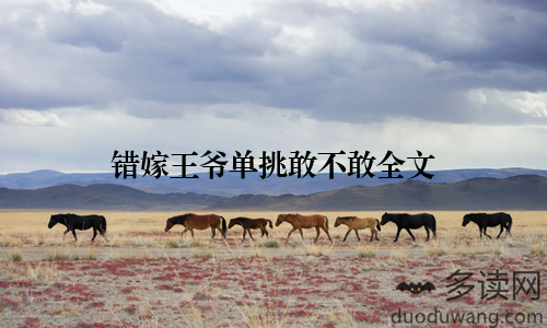 错嫁王爷单挑敢不敢全文