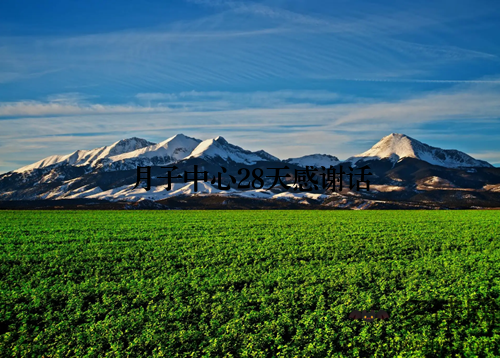 月子中心28天感谢话