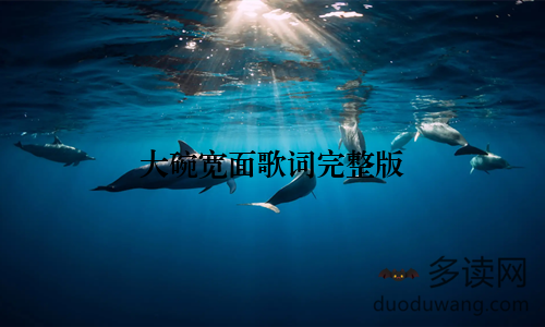 大碗宽面歌词完整版