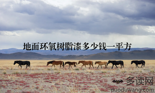 地面环氧树脂漆多少钱一平方