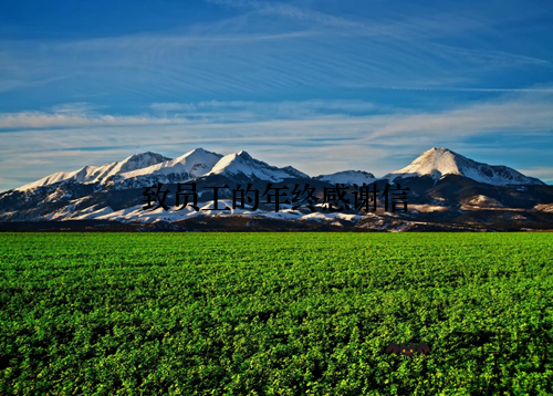 致员工的年终感谢信