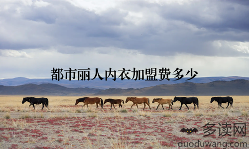 都市丽人内衣加盟费多少