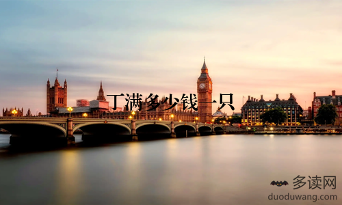 丁满多少钱一只