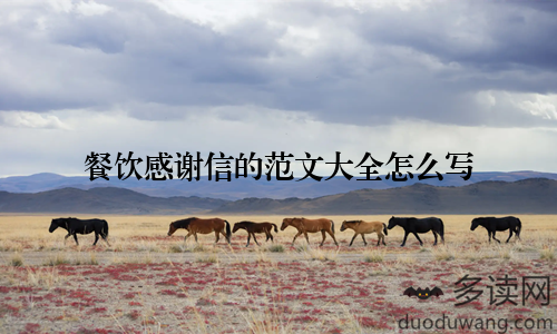 餐饮感谢信的范文大全怎么写