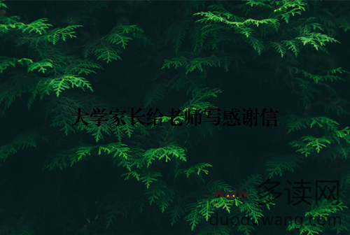 大学家长给老师写感谢信
