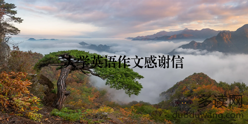 大学英语作文感谢信