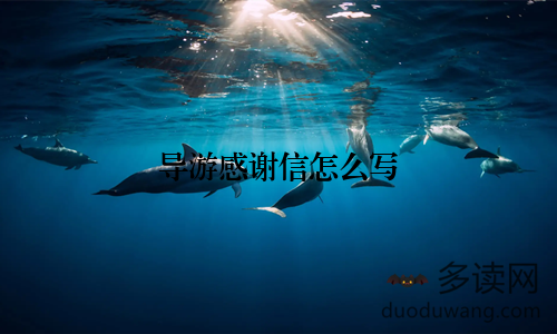 导游感谢信怎么写