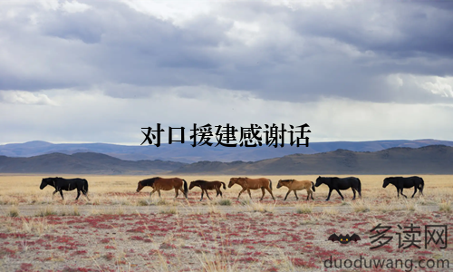 对口援建感谢话