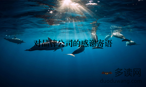 对品牌公司的感谢寄语
