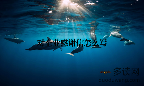 对企业感谢信怎么写