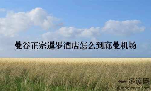 曼谷正宗暹罗酒店怎么到廊曼机场