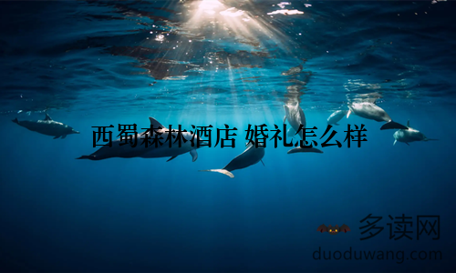 西蜀森林酒店 婚礼怎么样