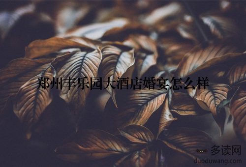 郑州丰乐园大酒店婚宴怎么样