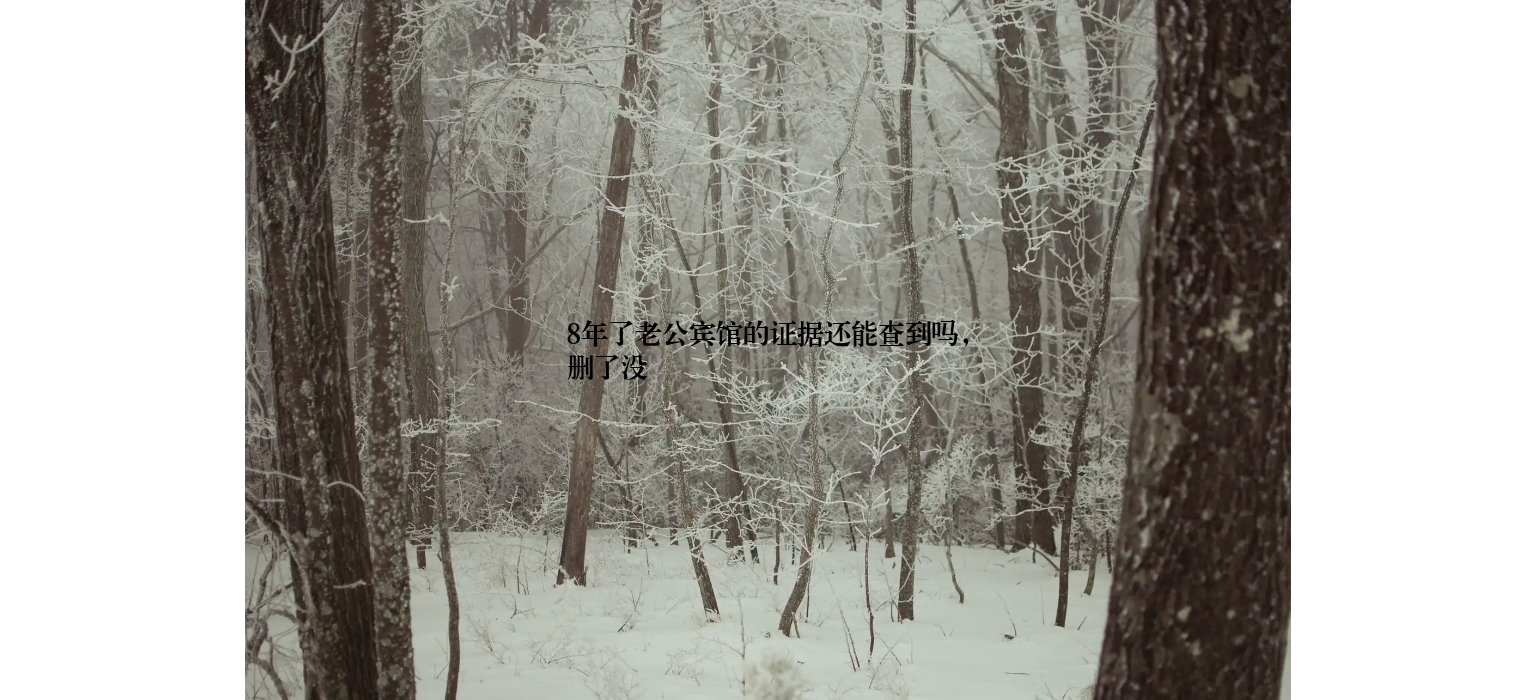 8年了老公宾馆的证据还能查到吗,删了没