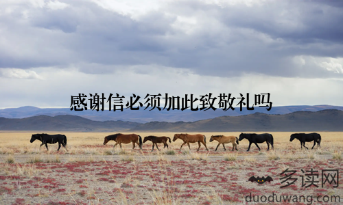 感谢信必须加此致敬礼吗