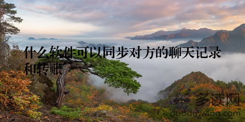 什么软件可以同步对方的聊天记录和转账