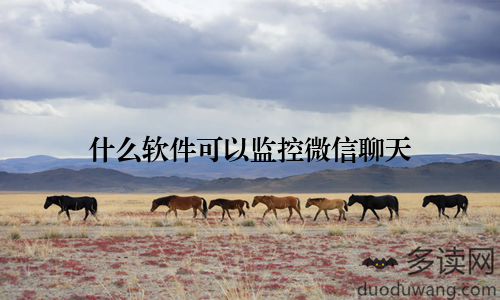 什么软件可以监控微信聊天