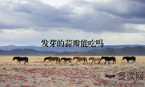 发芽的蒜瓣能吃吗