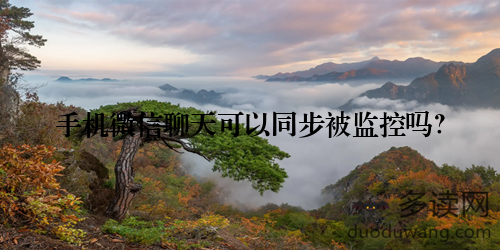 手机微信聊天可以同步被监控吗？