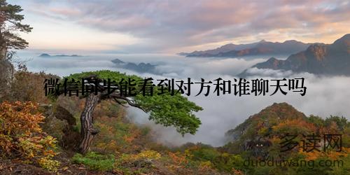 微信同步能看到对方和谁聊天吗