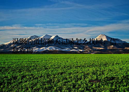 误删的微信聊天记录怎么找回,信息查询