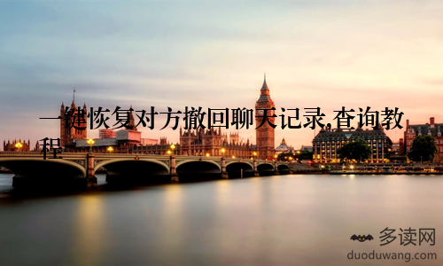 一键恢复对方撤回聊天记录,查询教程