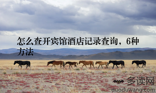 怎么查开宾馆酒店记录查询，6种方法