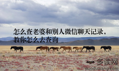 怎么查老婆和别人微信聊天记录，教你怎么去查询