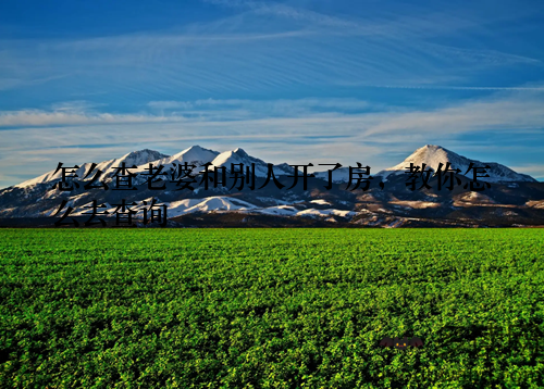 怎么查老婆和别人开了房,教你怎么去查询